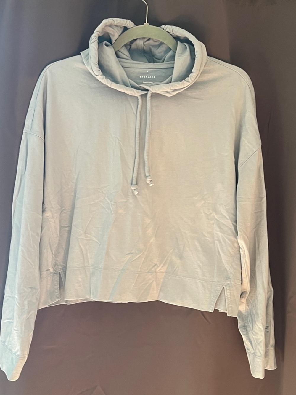 Everlane Light Blue Cropped Drawstring Hoodie